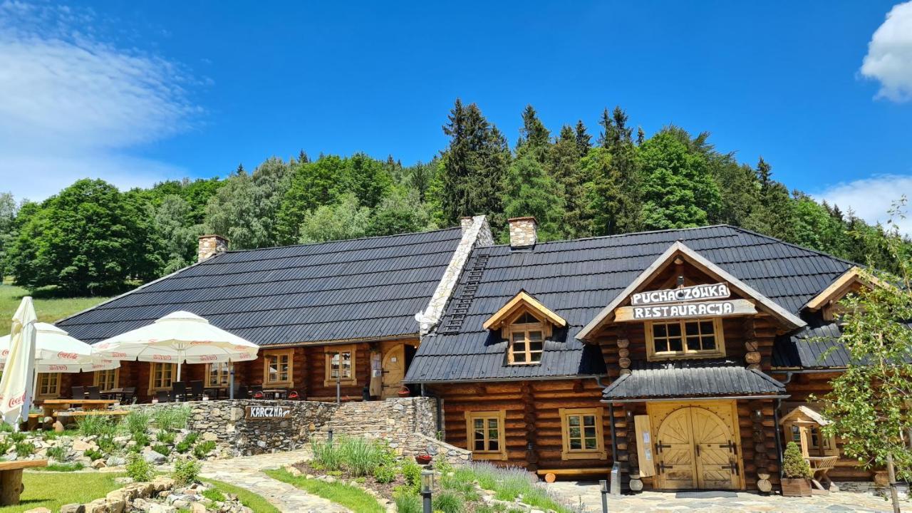 Czarna Gora 331 Sienna (Klodzko)